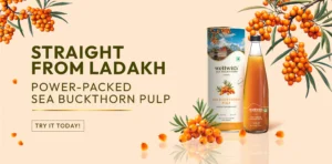 carousel banner 1 sbt pulp concentrate jpg (1)